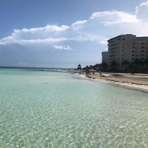 Meet your Posher, Beach Bum